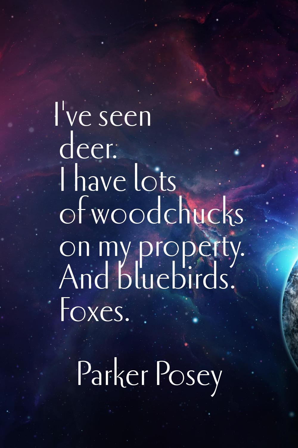 I've seen deer. I have lots of woodchucks on my property. And bluebirds. Foxes.