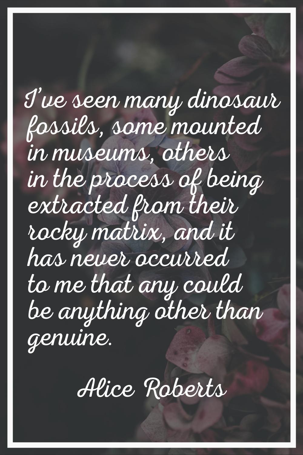 I’ve seen many dinosaur fossils, some mounted in museums, others in the process of being extracted 