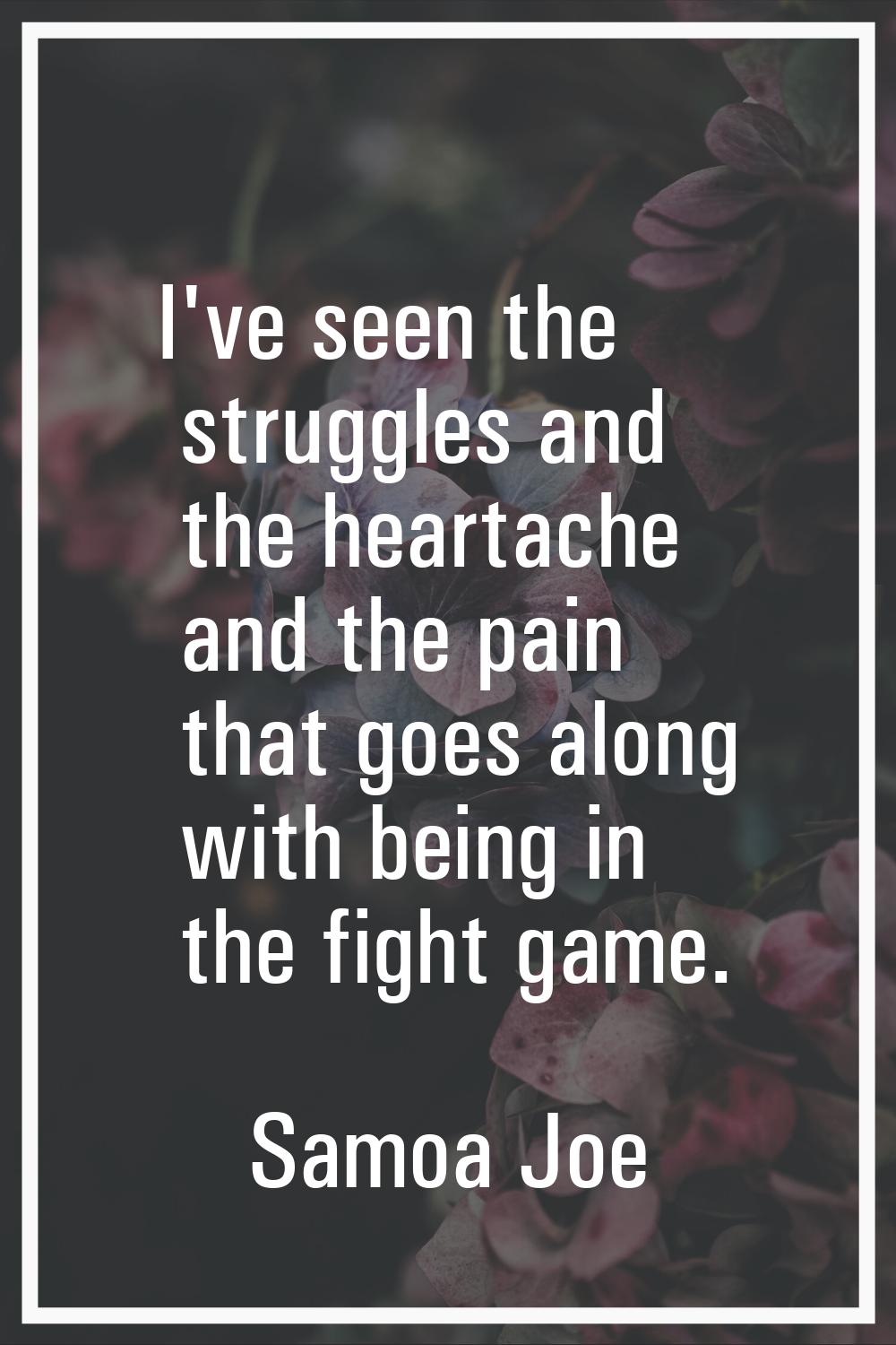 I've seen the struggles and the heartache and the pain that goes along with being in the fight game