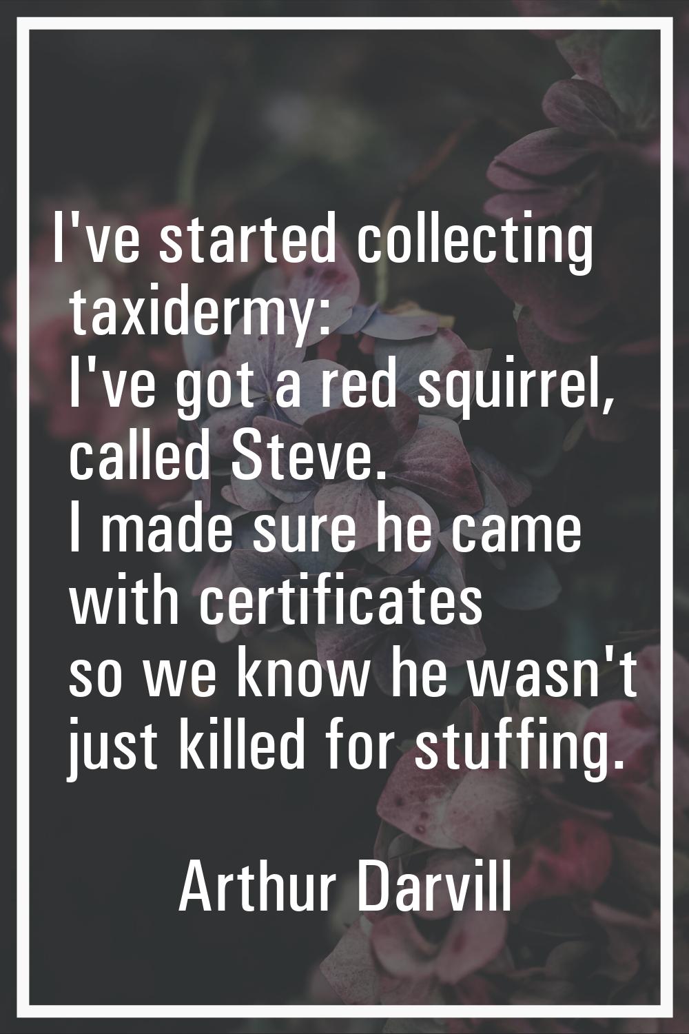 I've started collecting taxidermy: I've got a red squirrel, called Steve. I made sure he came with 