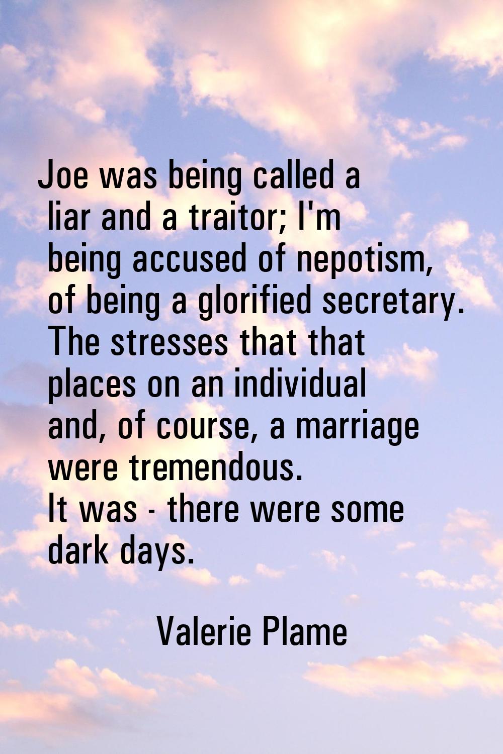 Joe was being called a liar and a traitor; I'm being accused of nepotism, of being a glorified secr