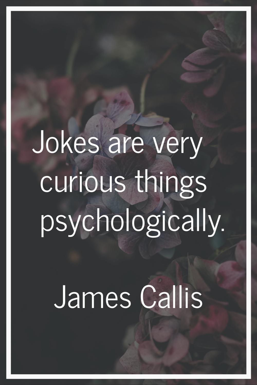 Jokes are very curious things psychologically.