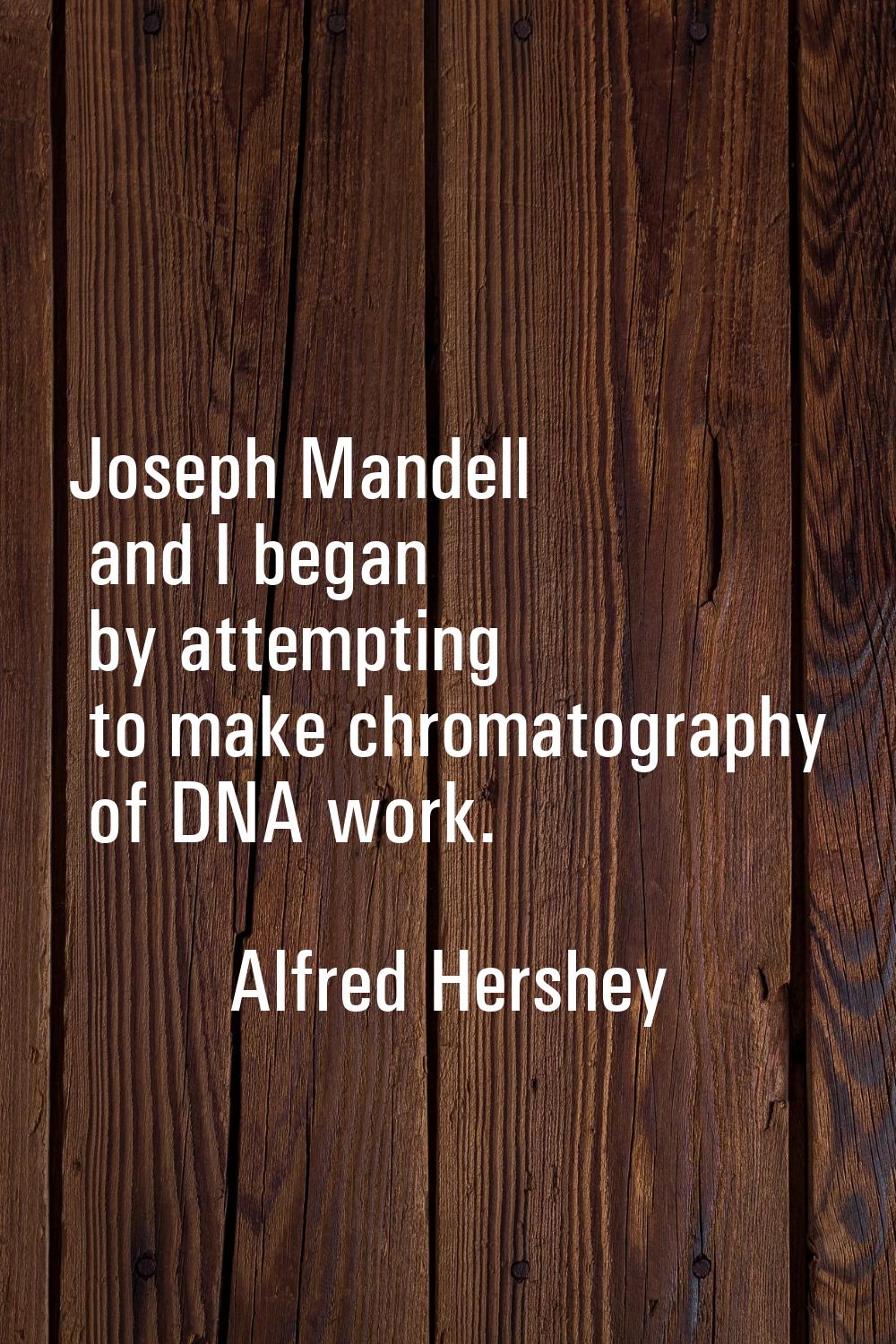 Joseph Mandell and I began by attempting to make chromatography of DNA work.