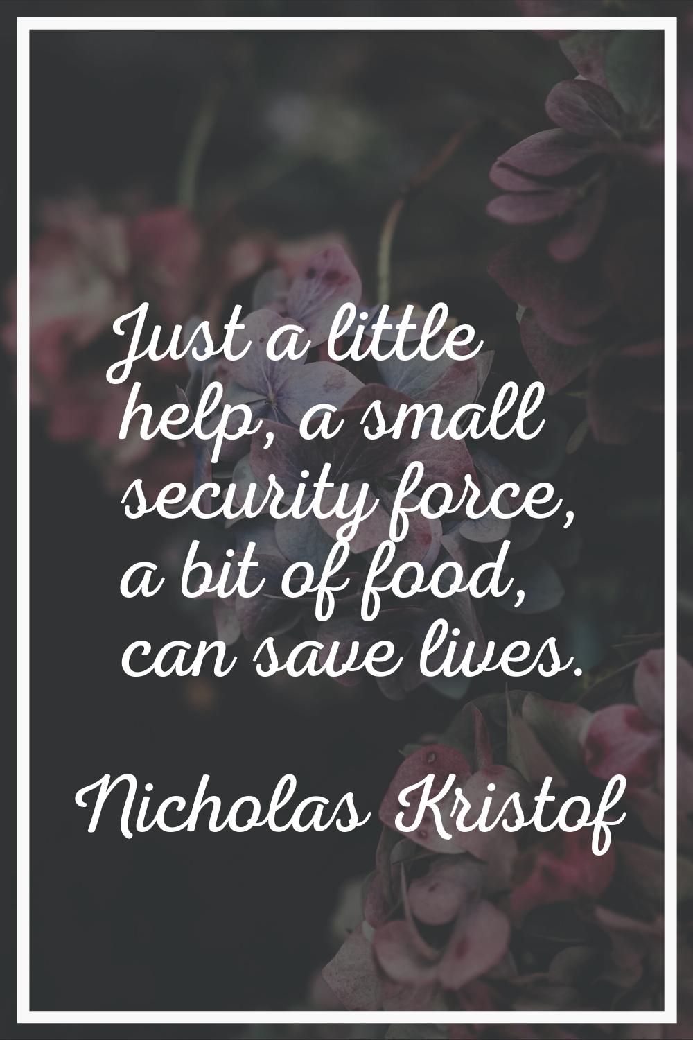 Just a little help, a small security force, a bit of food, can save lives.