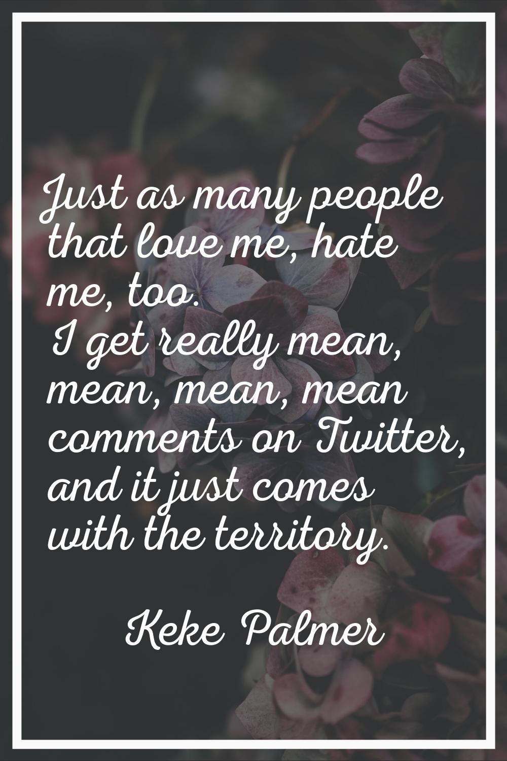 Just as many people that love me, hate me, too. I get really mean, mean, mean, mean comments on Twi