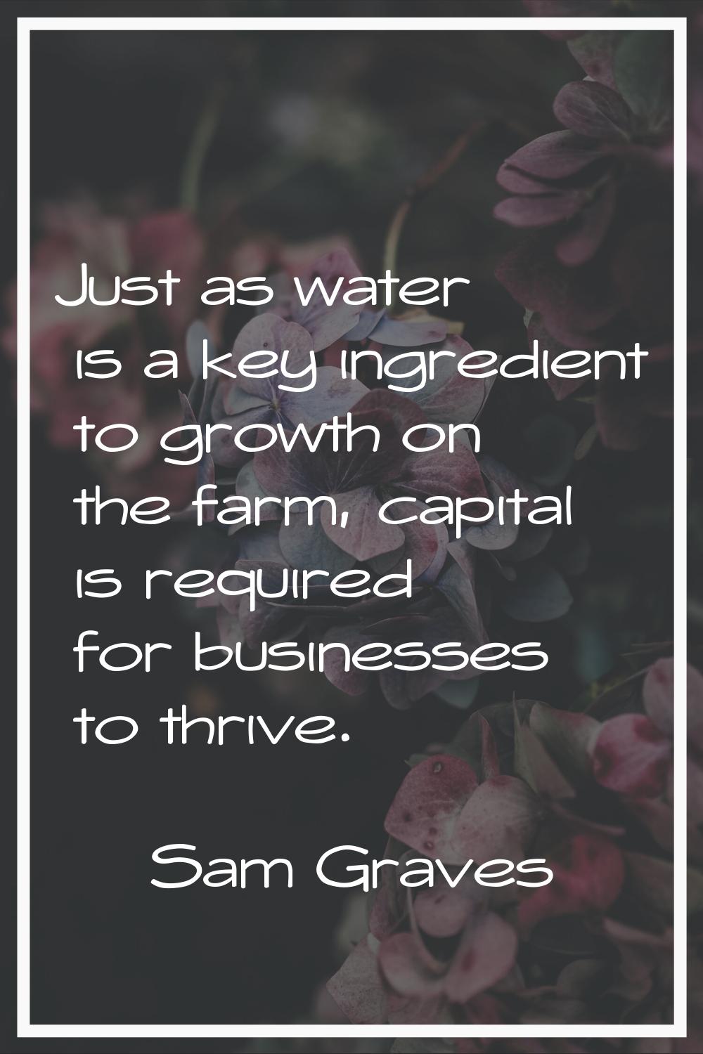 Just as water is a key ingredient to growth on the farm, capital is required for businesses to thri