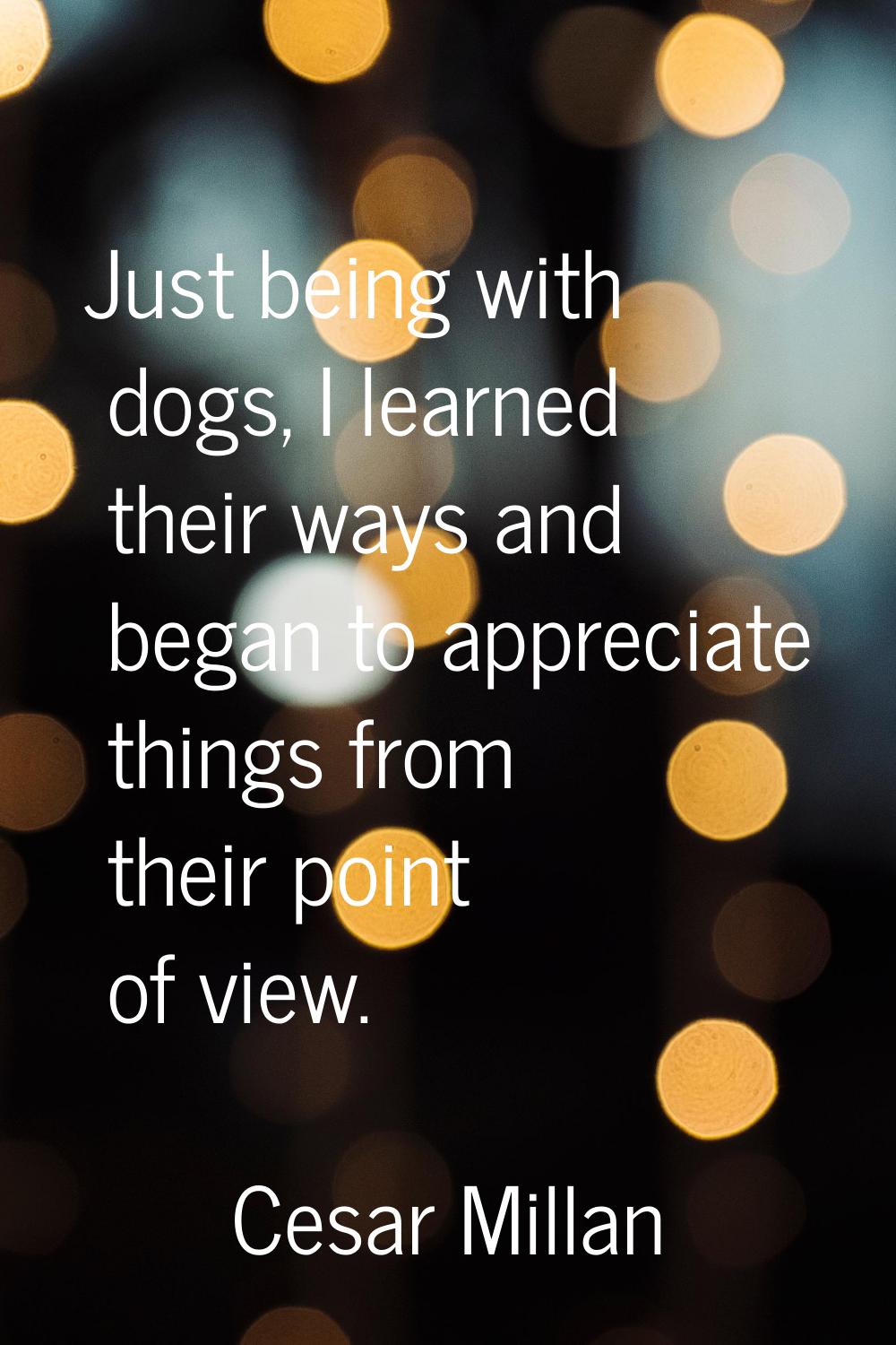 Just being with dogs, I learned their ways and began to appreciate things from their point of view.