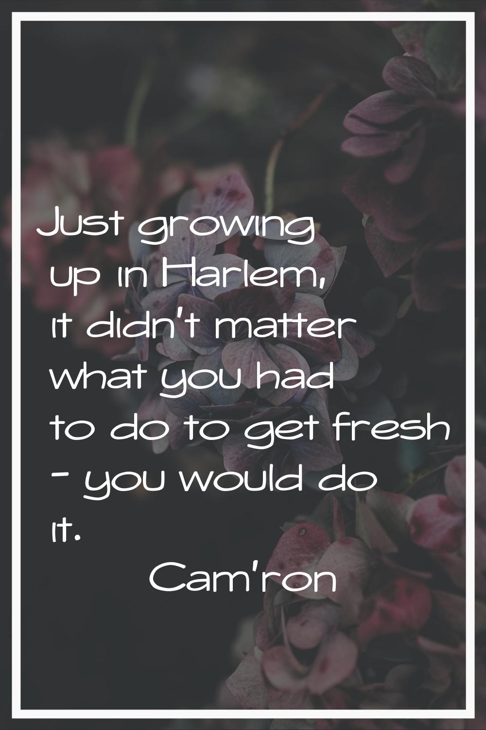 Just growing up in Harlem, it didn't matter what you had to do to get fresh - you would do it.