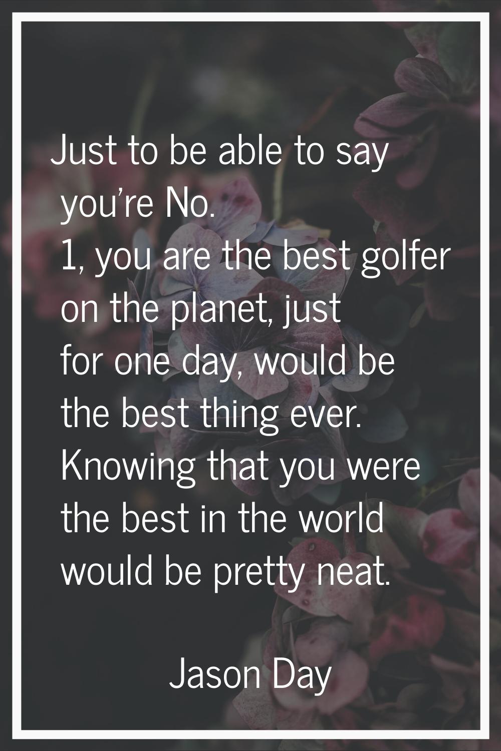 Just to be able to say you're No. 1, you are the best golfer on the planet, just for one day, would