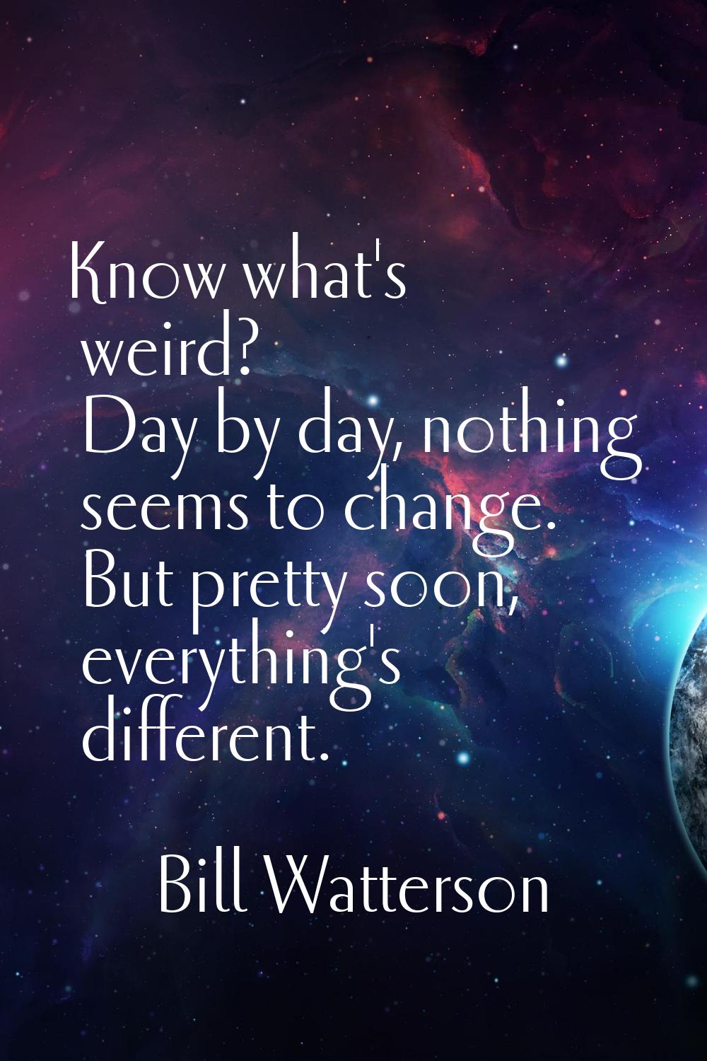Know what's weird? Day by day, nothing seems to change. But pretty soon, everything's different.