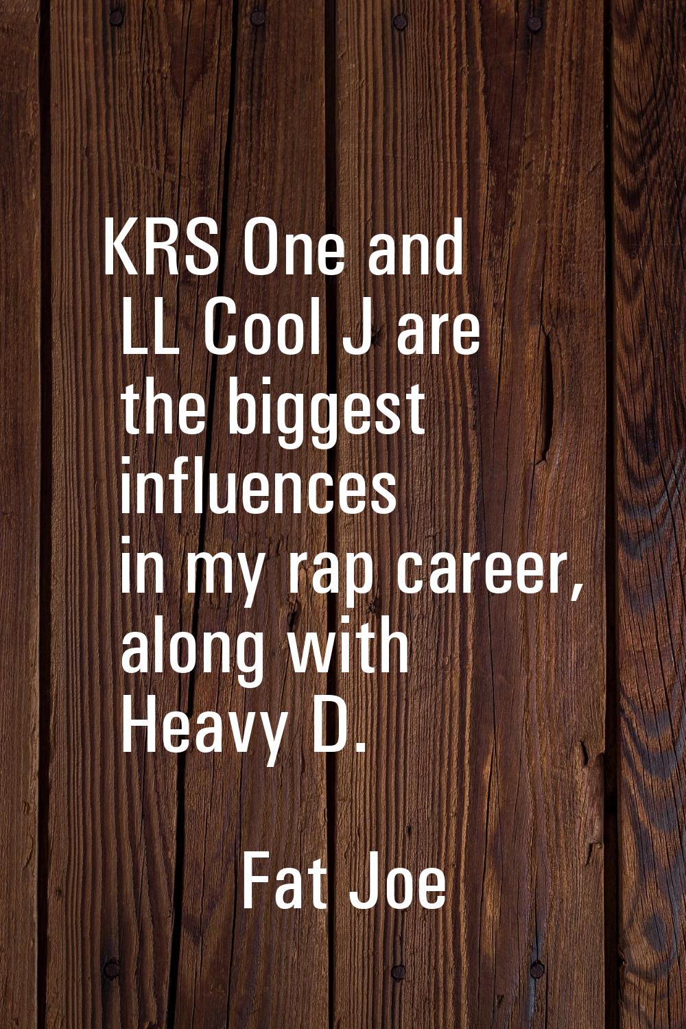 KRS One and LL Cool J are the biggest influences in my rap career, along with Heavy D.
