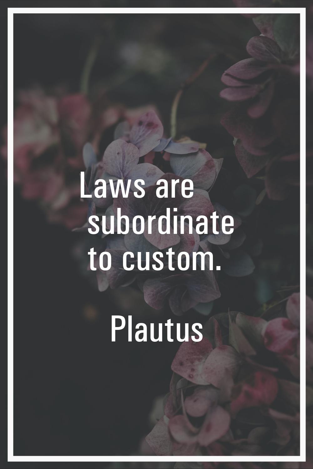 Laws are subordinate to custom.
