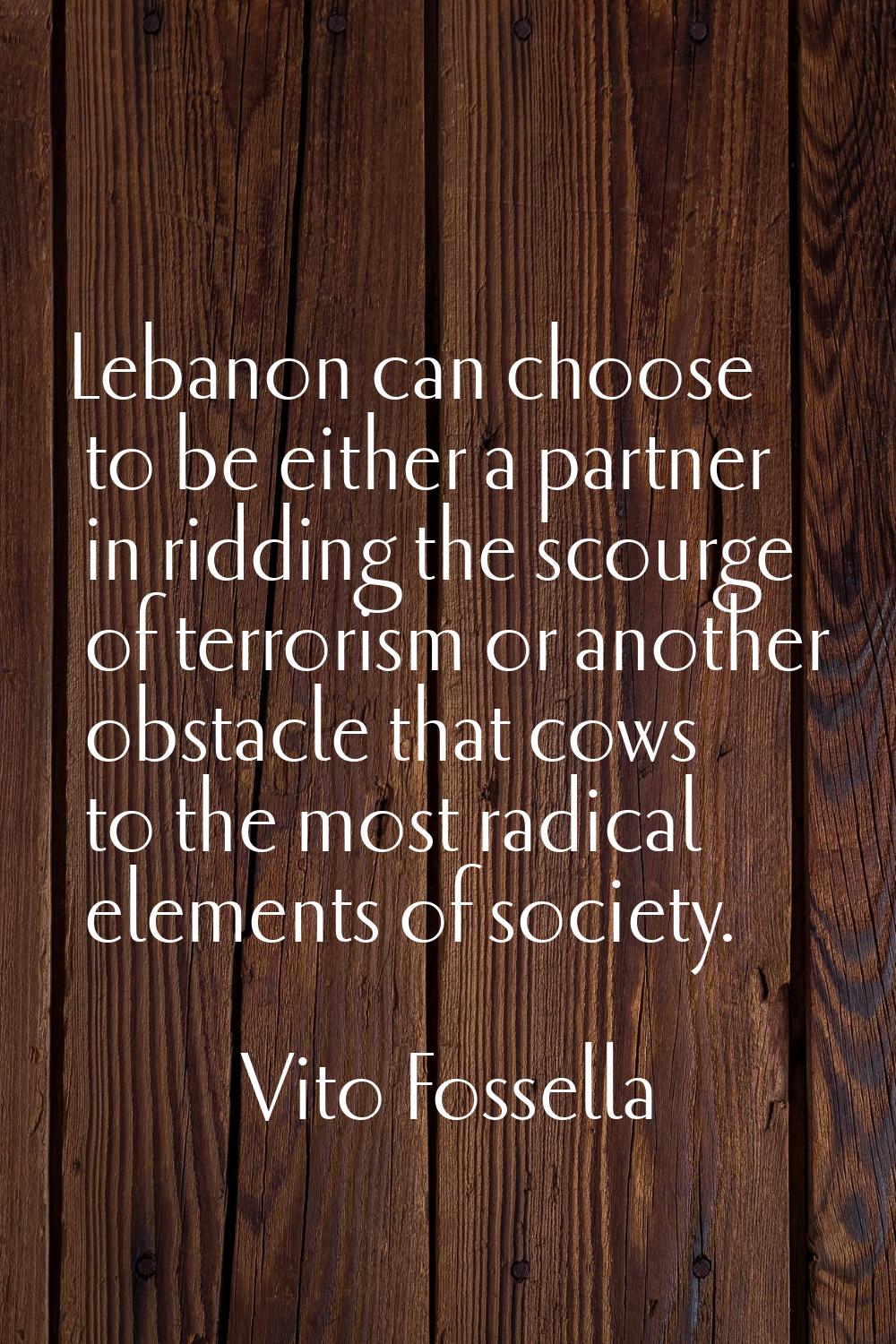 Lebanon can choose to be either a partner in ridding the scourge of terrorism or another obstacle t