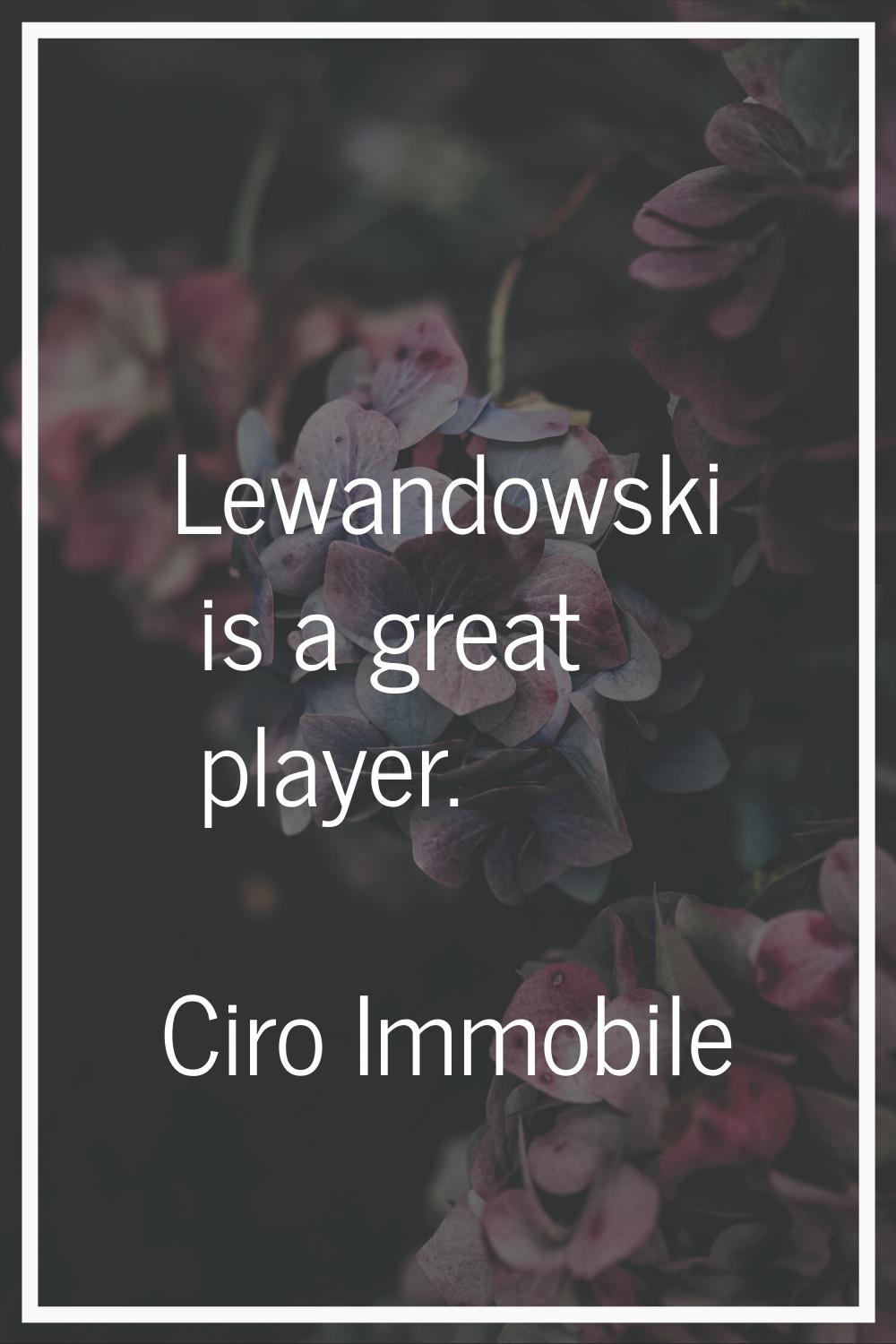 Lewandowski is a great player.