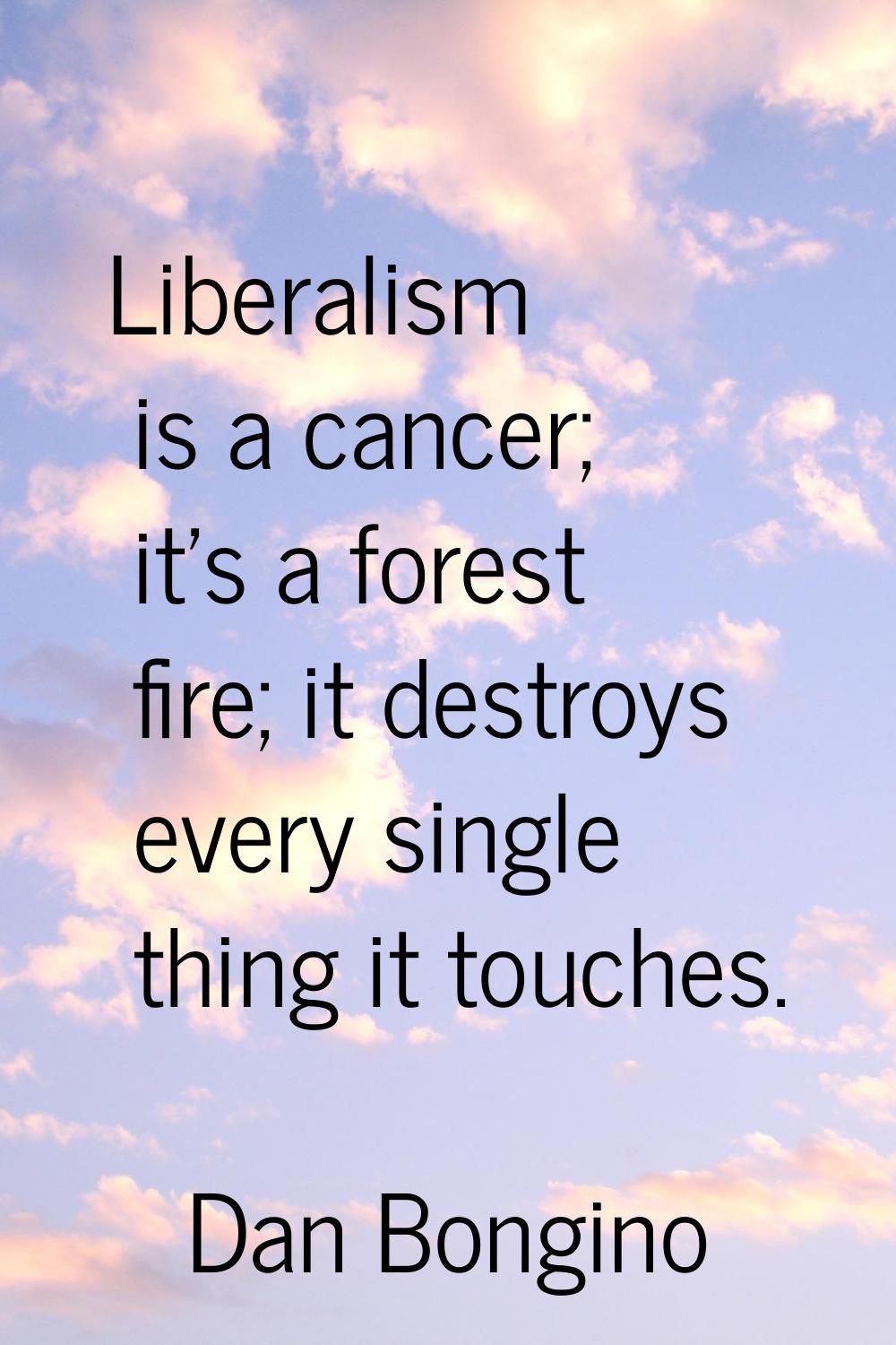 Liberalism is a cancer; it's a forest fire; it destroys every single thing it touches.