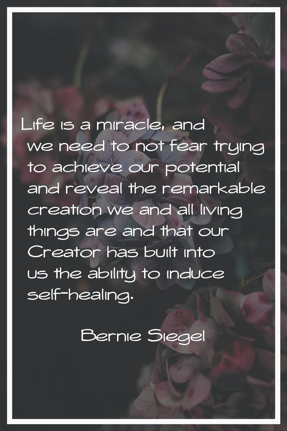 Life is a miracle, and we need to not fear trying to achieve our potential and reveal the remarkabl