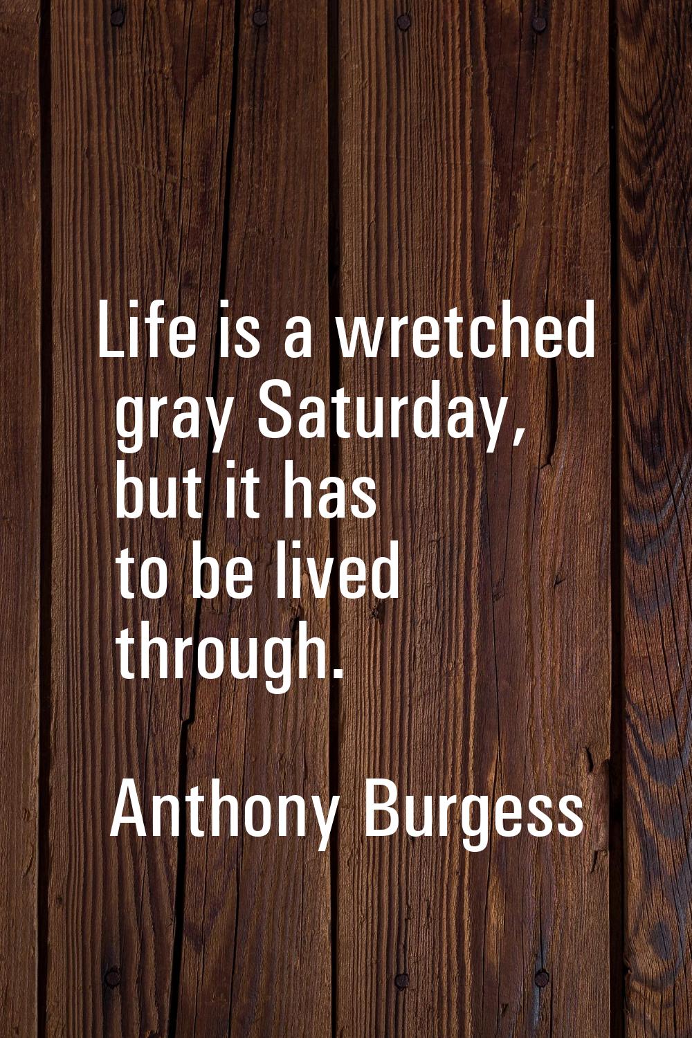 Life is a wretched gray Saturday, but it has to be lived through.