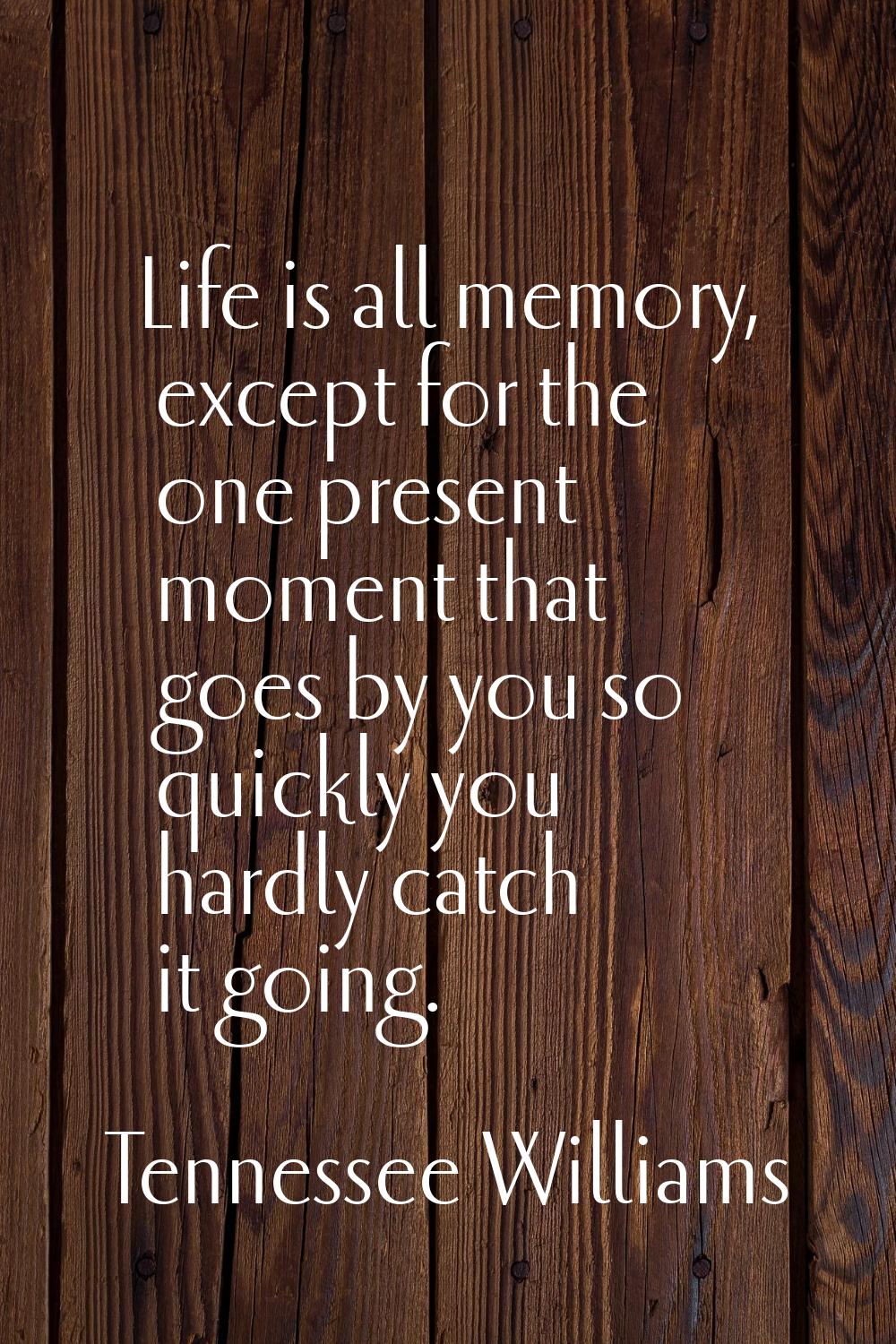 Life is all memory, except for the one present moment that goes by you so quickly you hardly catch 
