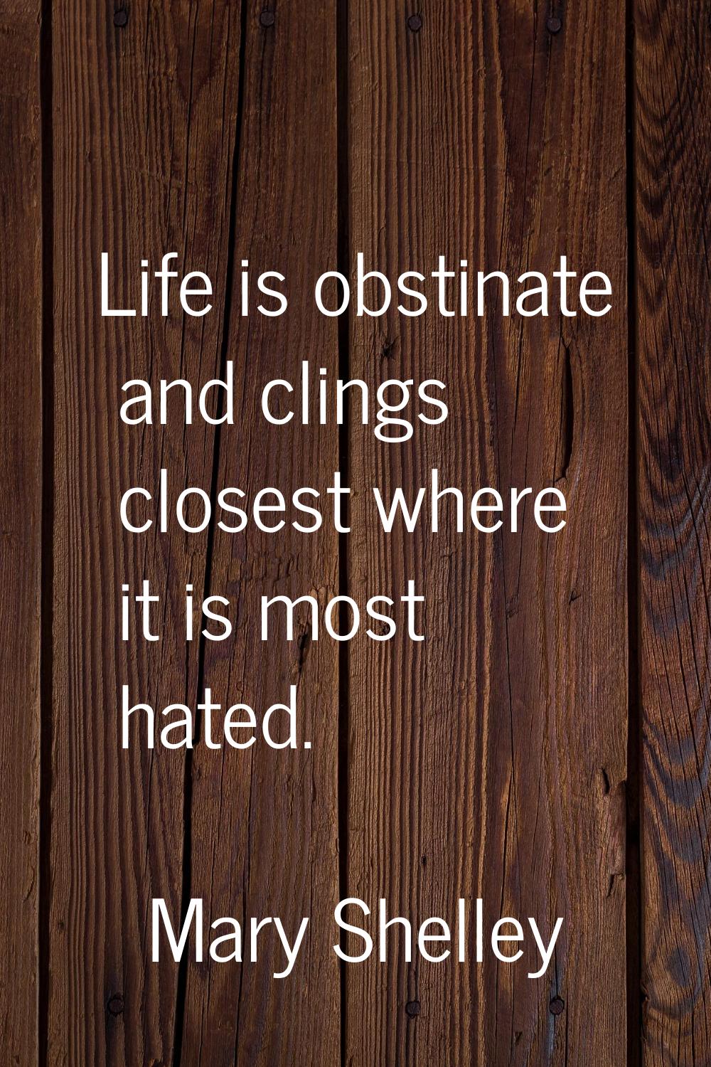 Life is obstinate and clings closest where it is most hated.