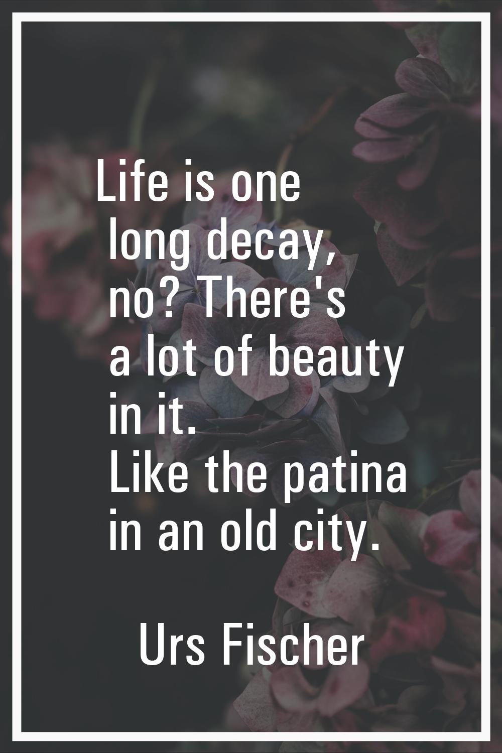 Life is one long decay, no? There's a lot of beauty in it. Like the patina in an old city.