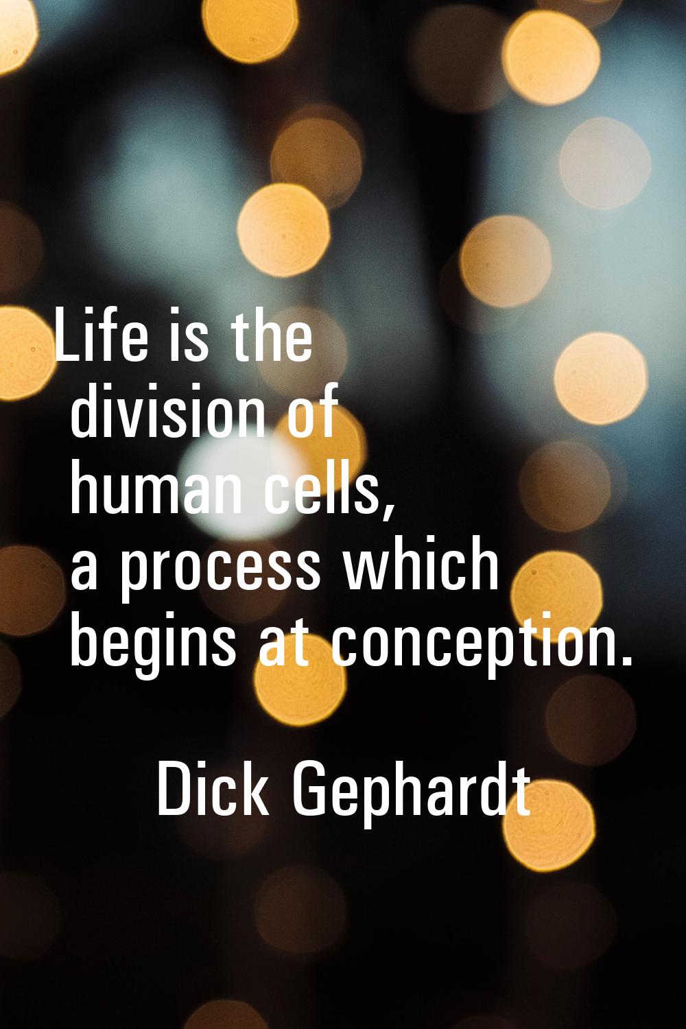 Life is the division of human cells, a process which begins at conception.
