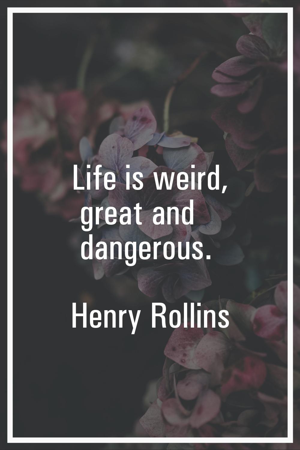 Life is weird, great and dangerous.