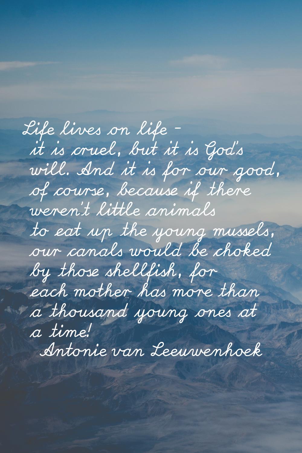 Life lives on life - it is cruel, but it is God's will. And it is for our good, of course, because 