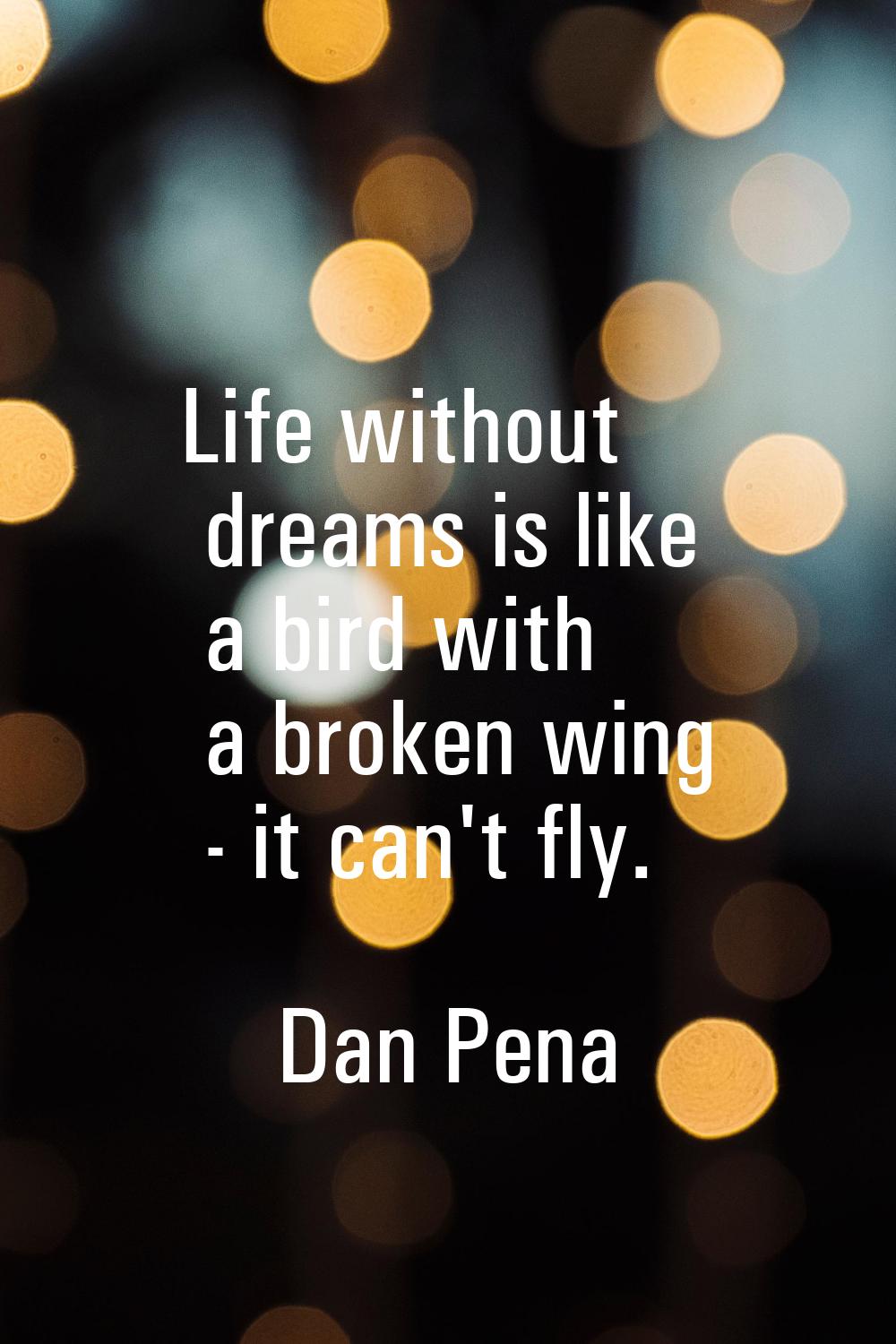 Life without dreams is like a bird with a broken wing - it can't fly.