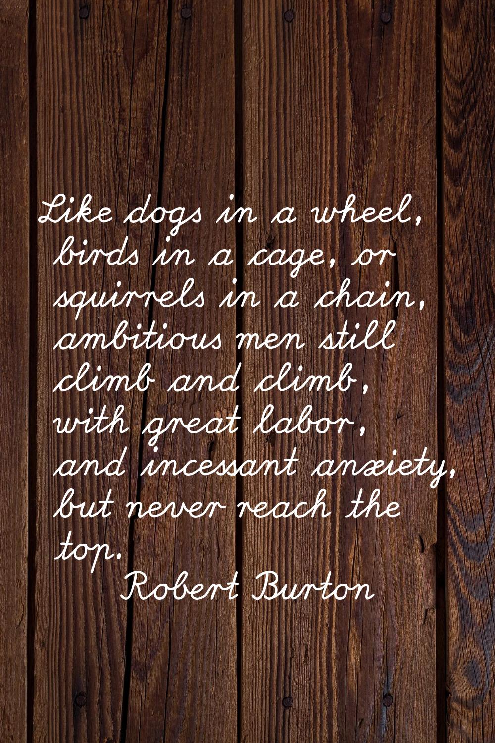 Like dogs in a wheel, birds in a cage, or squirrels in a chain, ambitious men still climb and climb