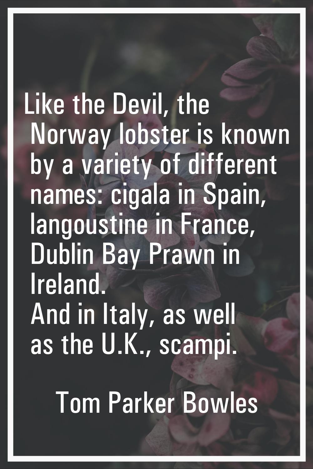 Like the Devil, the Norway lobster is known by a variety of different names: cigala in Spain, lango