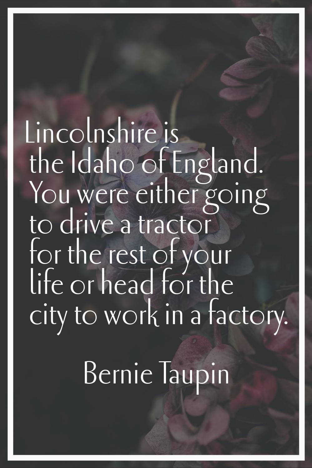Lincolnshire is the Idaho of England. You were either going to drive a tractor for the rest of your