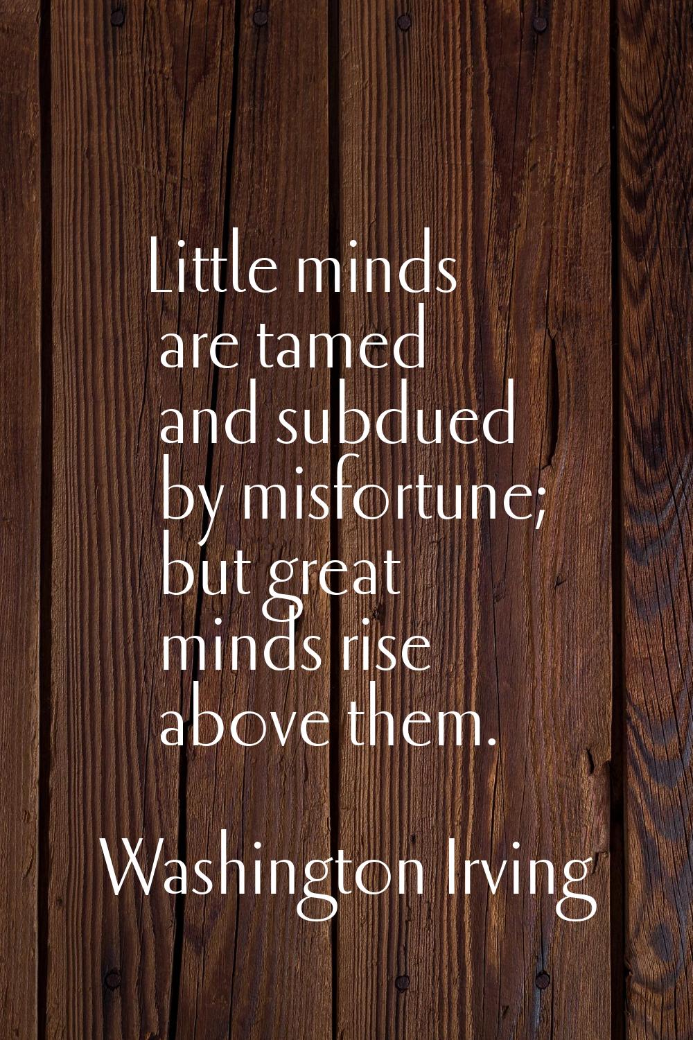Little minds are tamed and subdued by misfortune; but great minds rise above them.