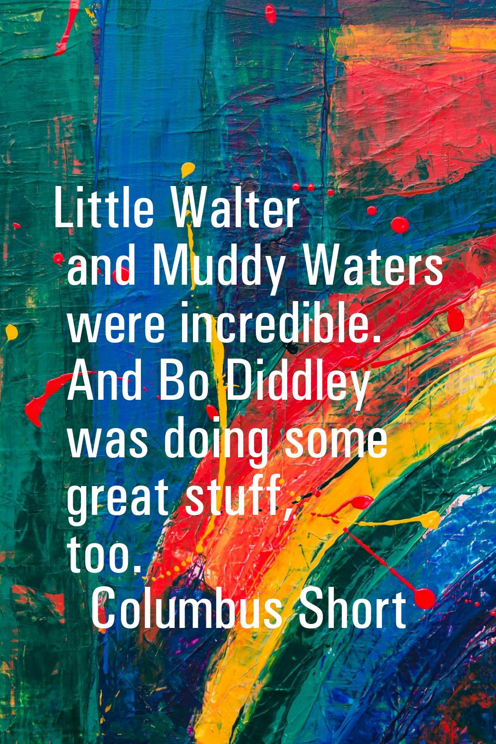 Little Walter and Muddy Waters were incredible. And Bo Diddley was doing some great stuff, too.