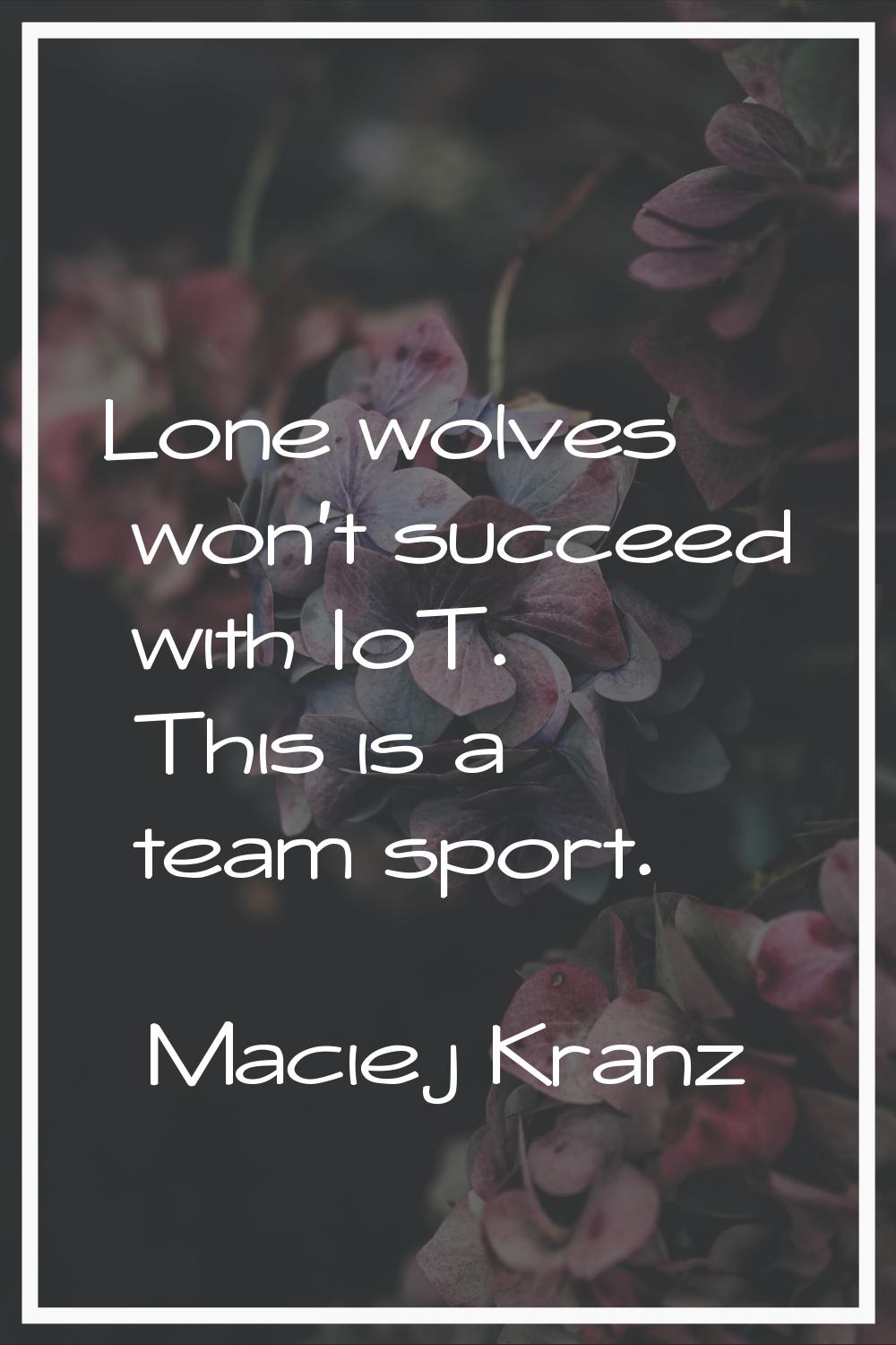 Lone wolves won't succeed with IoT. This is a team sport.