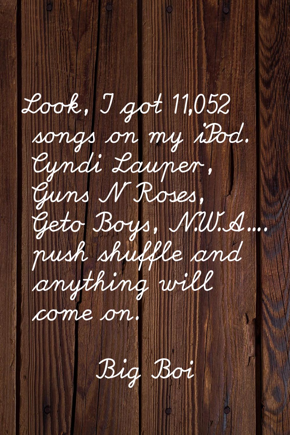 Look, I got 11,052 songs on my iPod. Cyndi Lauper, Guns N' Roses, Geto Boys, N.W.A.... push shuffle