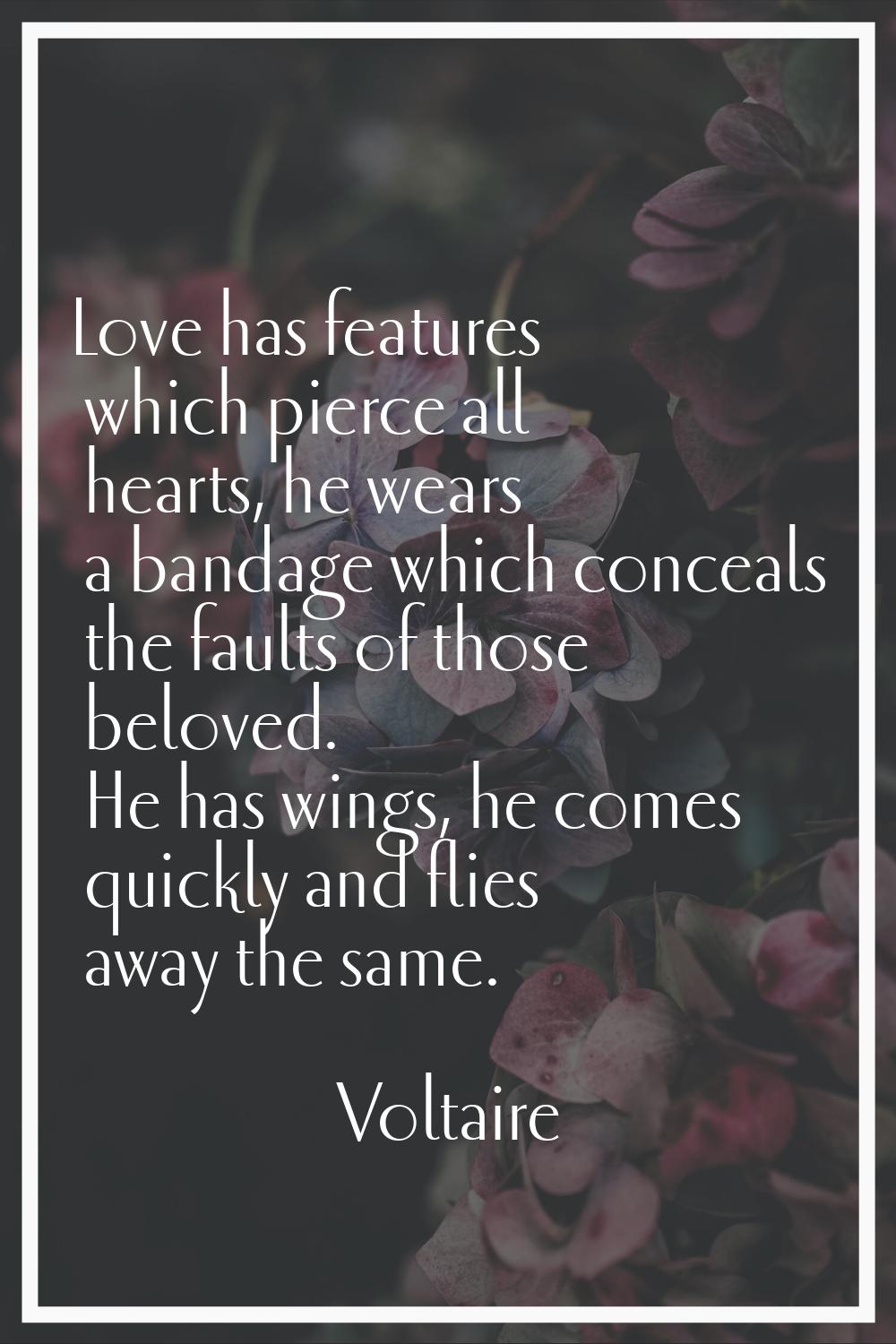 Love has features which pierce all hearts, he wears a bandage which conceals the faults of those be
