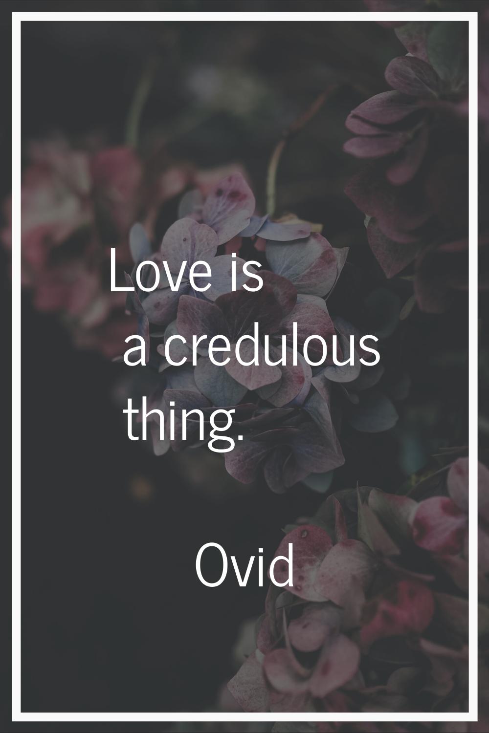 Love is a credulous thing.
