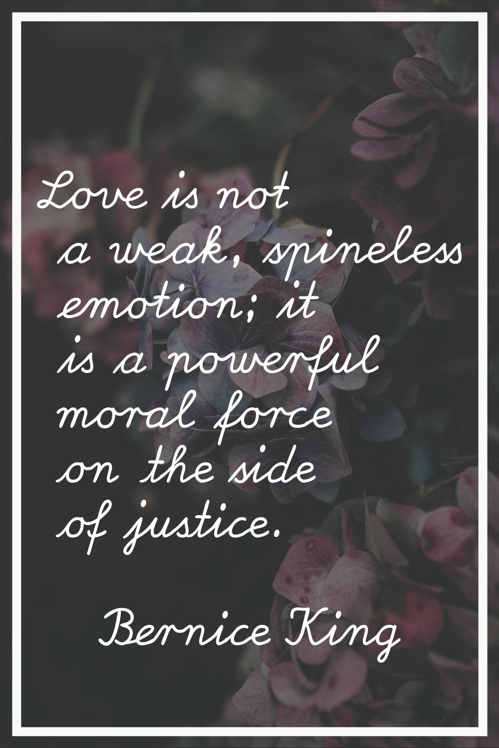 Love is not a weak, spineless emotion; it is a powerful moral force on the side of justice.