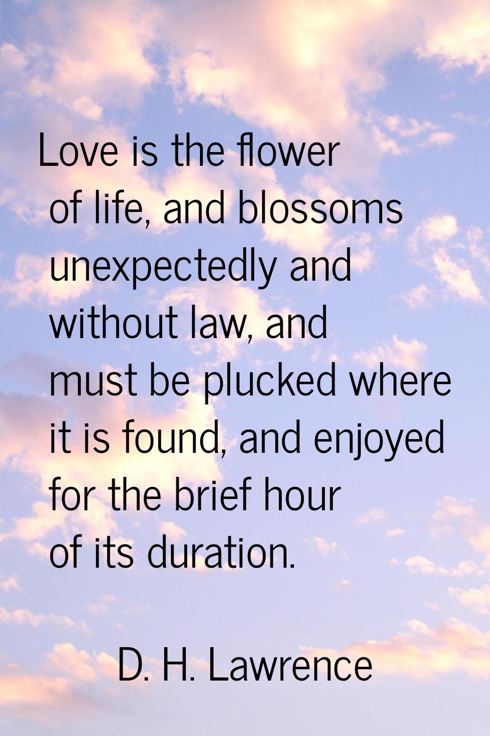 Love is the flower of life, and blossoms unexpectedly and without law, and must be plucked where it