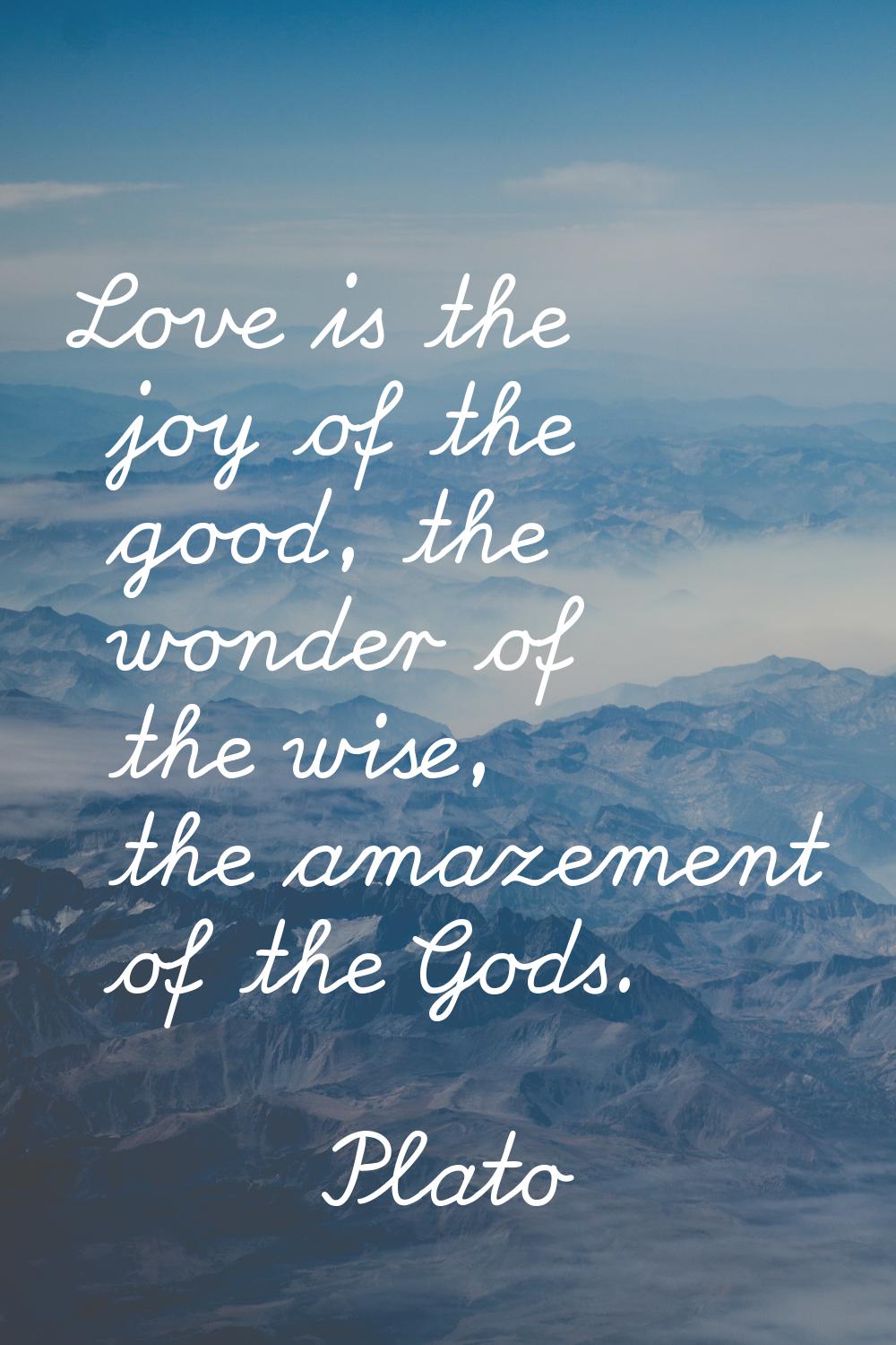 Love is the joy of the good, the wonder of the wise, the amazement of the Gods.