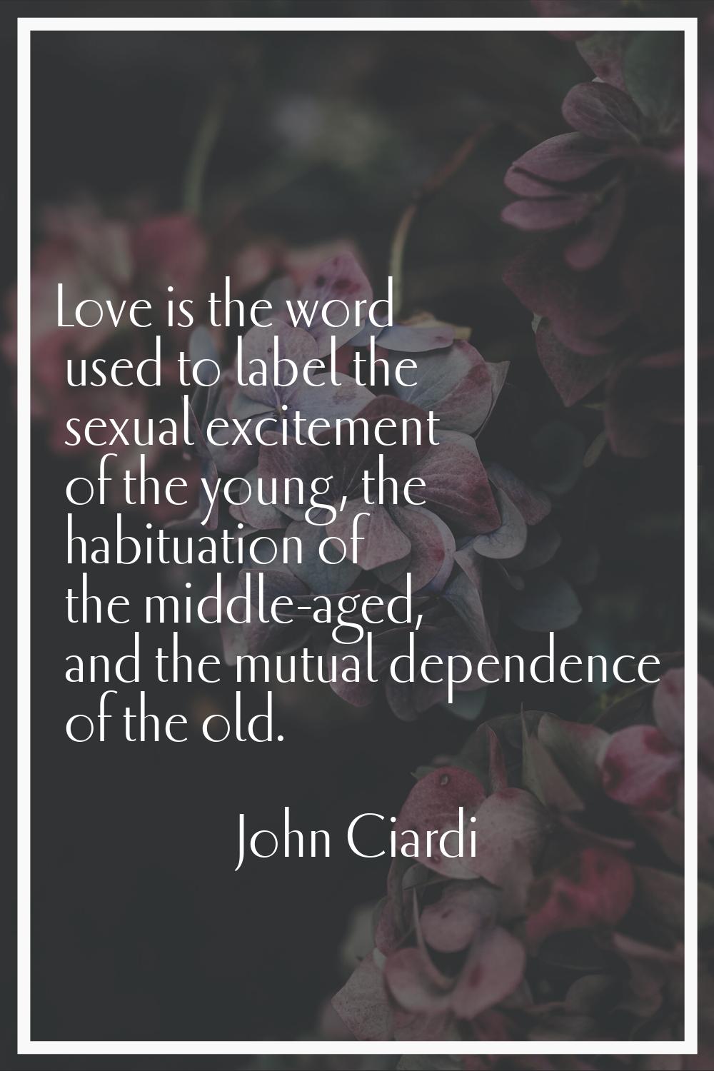 Love is the word used to label the sexual excitement of the young, the habituation of the middle-ag