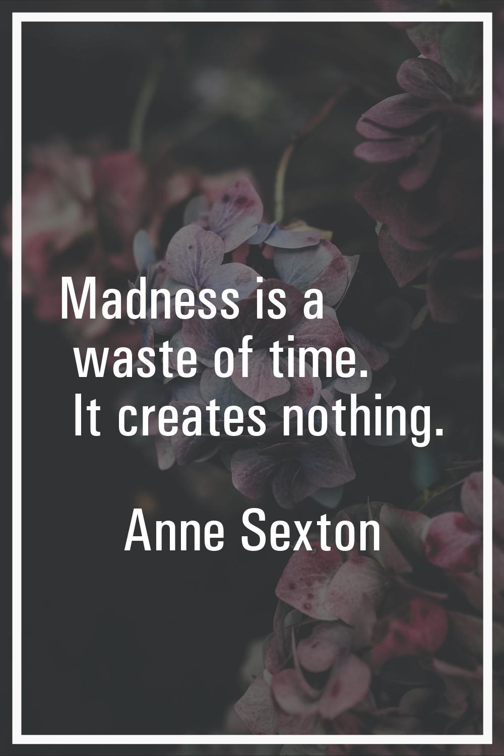 Madness is a waste of time. It creates nothing.