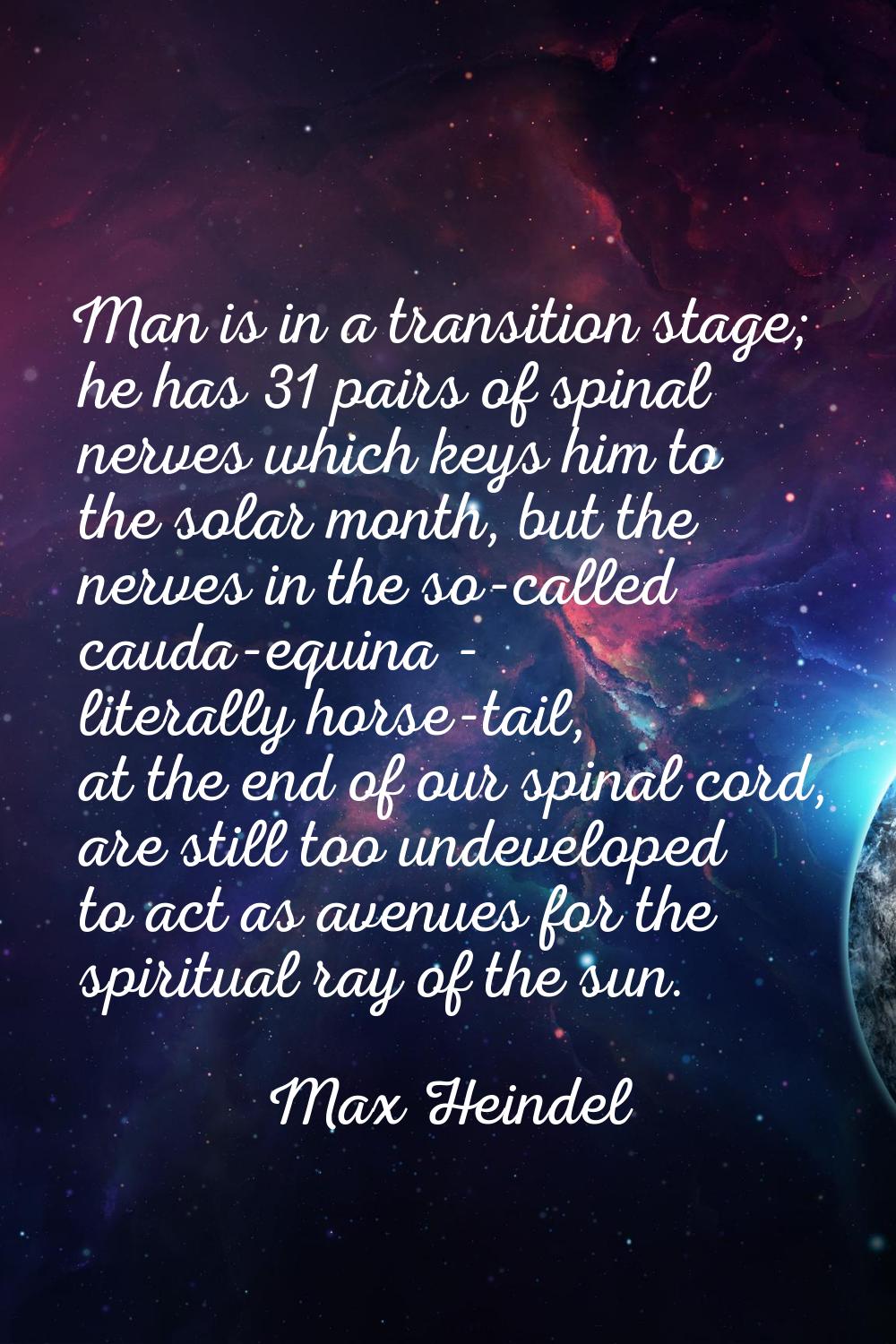 Man is in a transition stage; he has 31 pairs of spinal nerves which keys him to the solar month, b