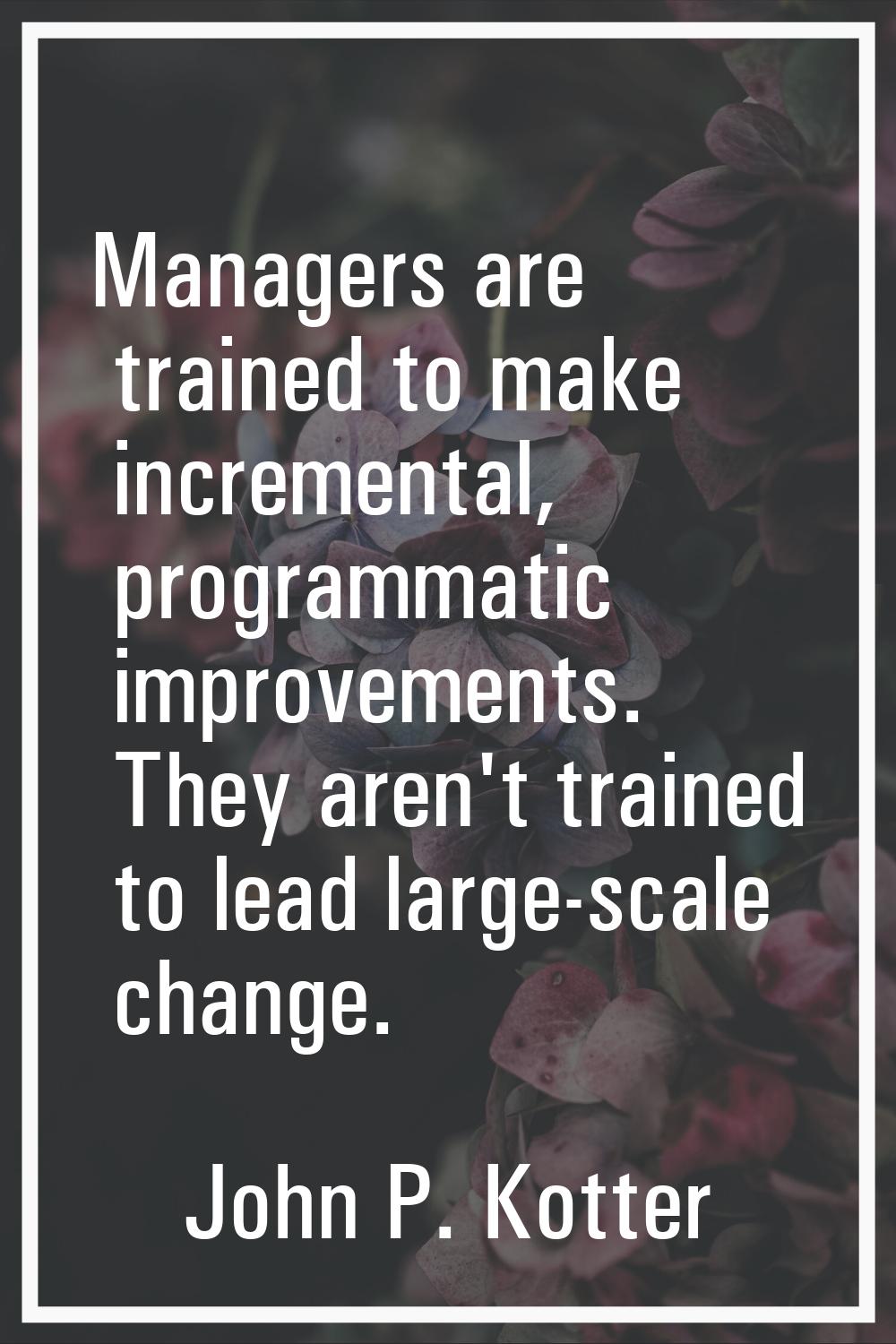 Managers are trained to make incremental, programmatic improvements. They aren't trained to lead la