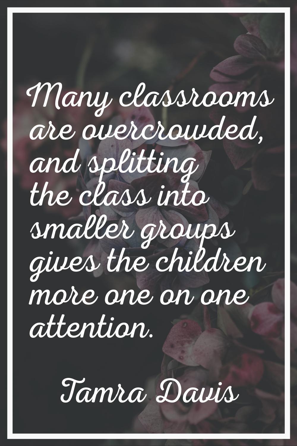 Many classrooms are overcrowded, and splitting the class into smaller groups gives the children mor
