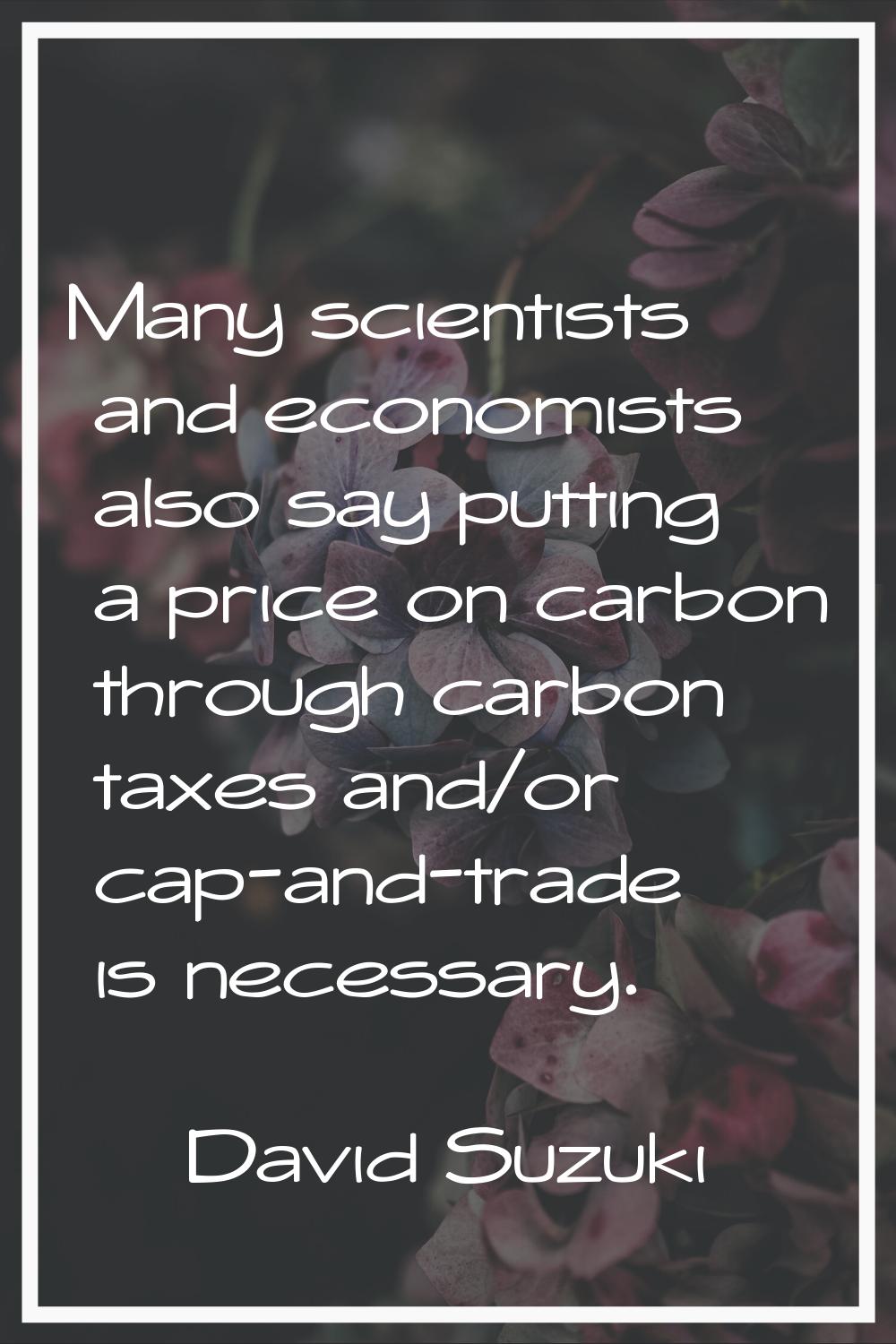 Many scientists and economists also say putting a price on carbon through carbon taxes and/or cap-a
