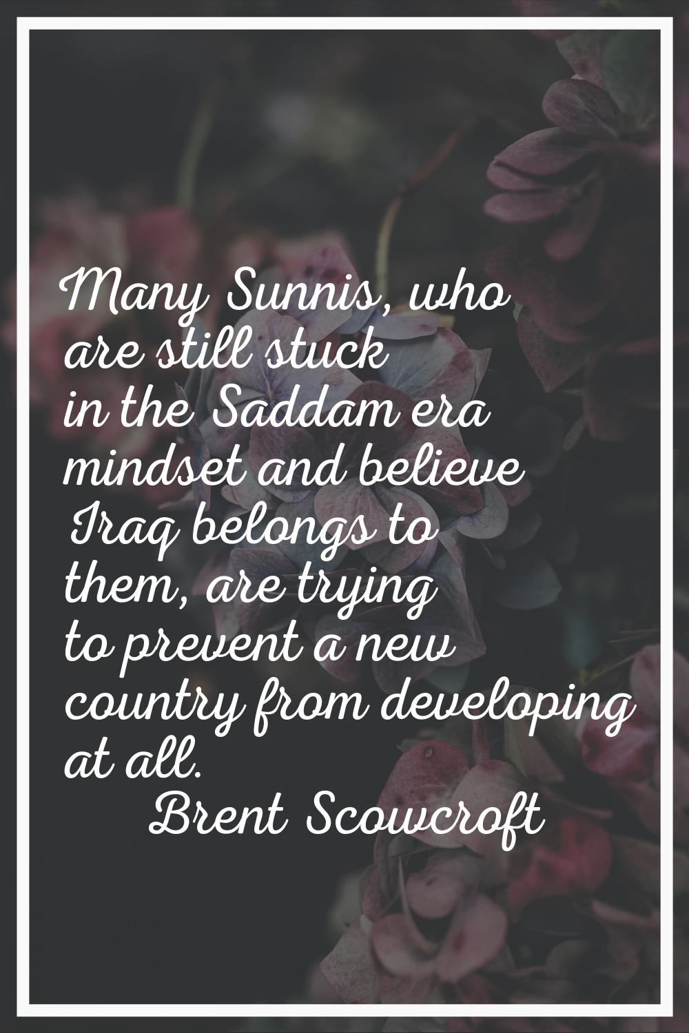 Many Sunnis, who are still stuck in the Saddam era mindset and believe Iraq belongs to them, are tr