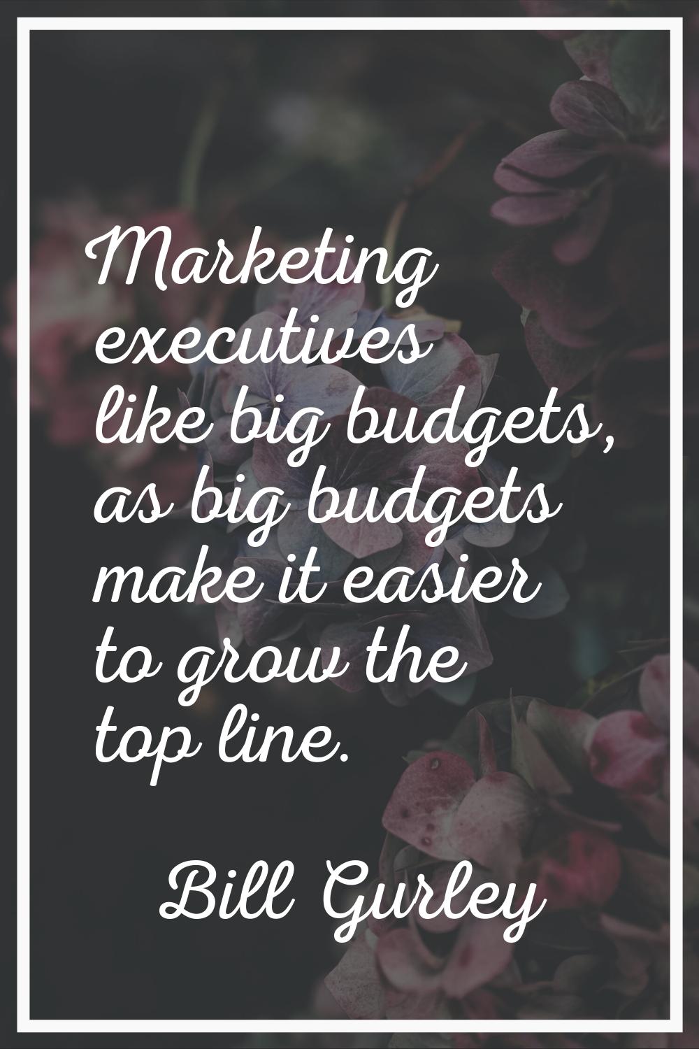 Marketing executives like big budgets, as big budgets make it easier to grow the top line.