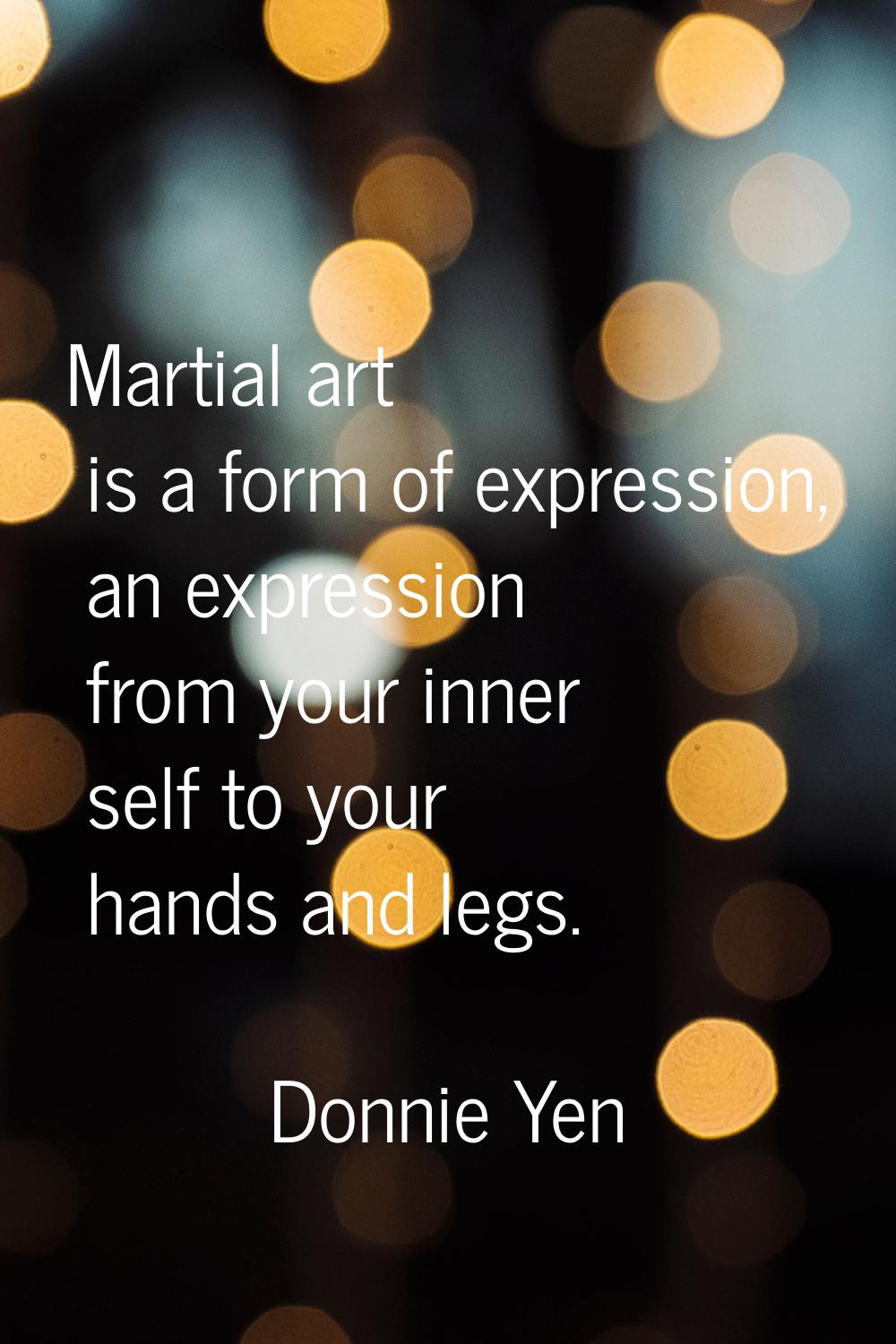 Martial art is a form of expression, an expression from your inner self to your hands and legs.