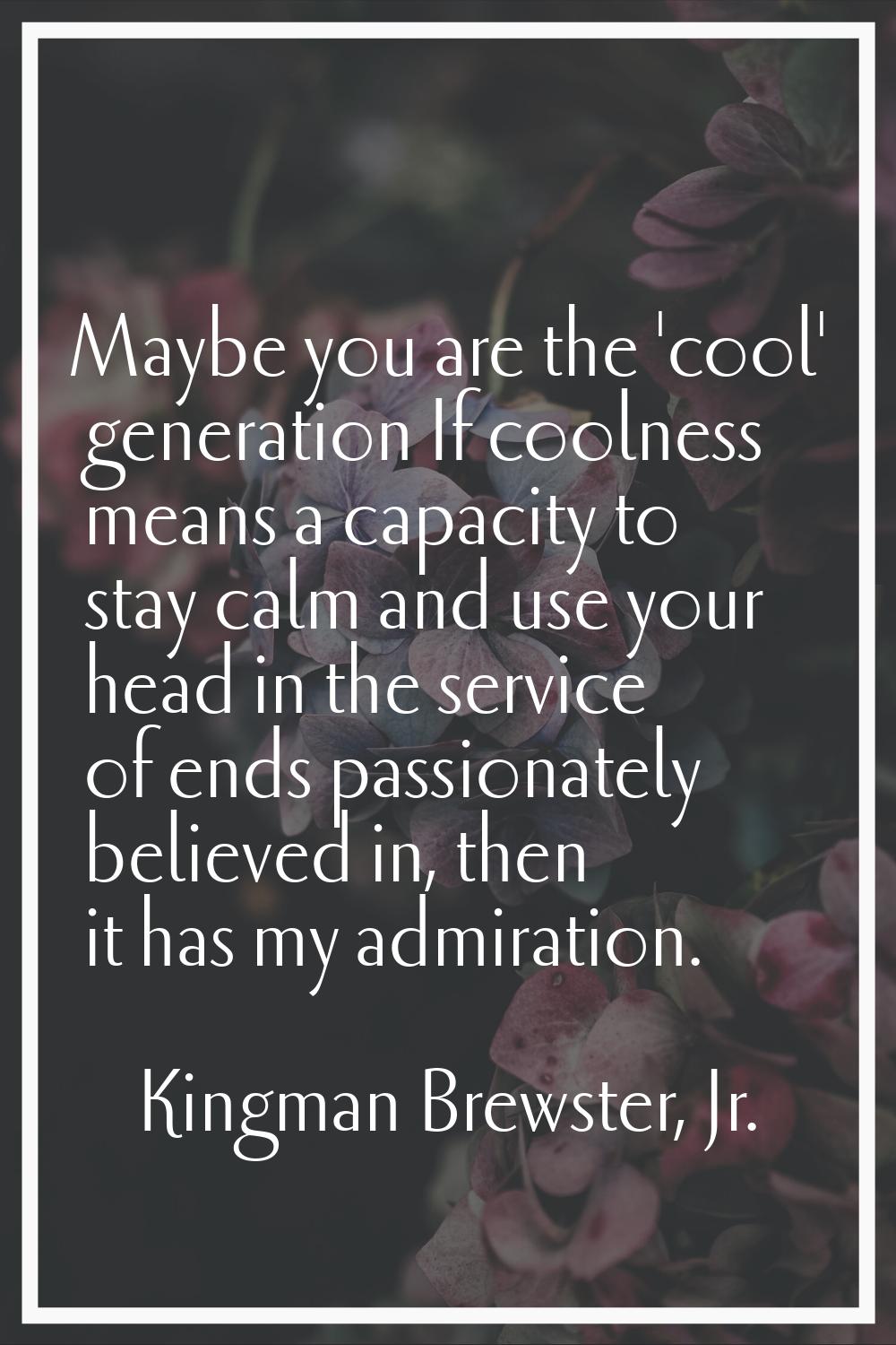 Maybe you are the 'cool' generation If coolness means a capacity to stay calm and use your head in 